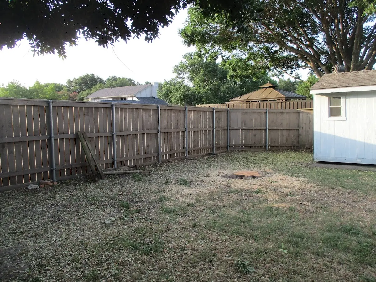 Cleared yard after professional tree removal in Housatonic